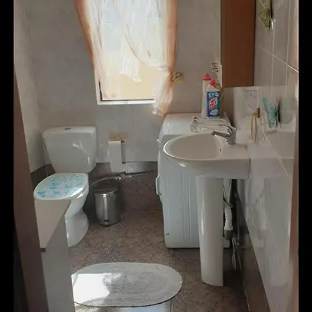 شقة Ant *